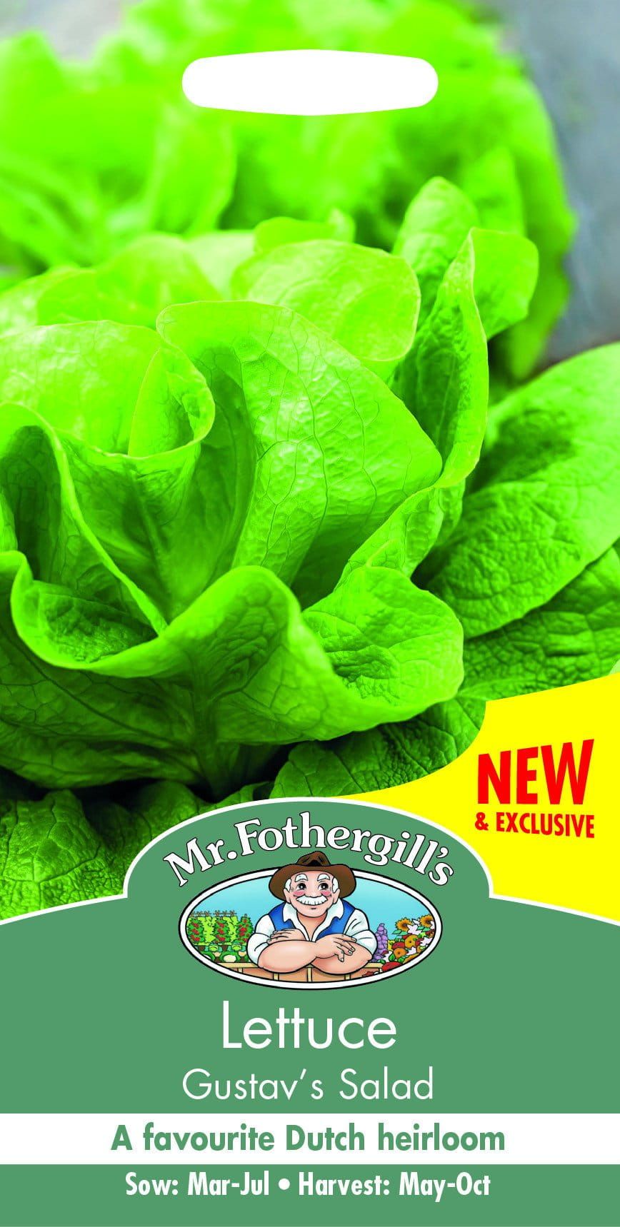 Mr Fothergills Lettuce Gustav's Salad 1000 Seeds