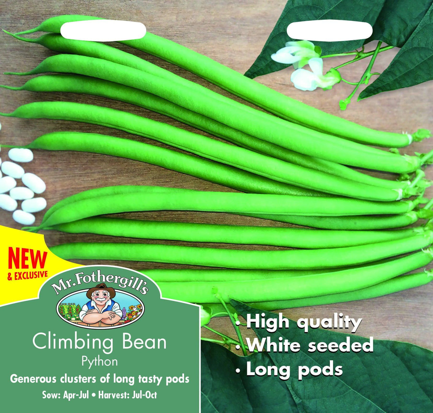 Mr Fothergills Climbing Bean Python 50 Seeds