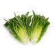 Lettuce Open Heart Cos MELITONA RZ - LS10967 Seeds