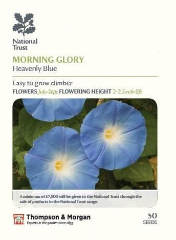 Thompson & Morgan National Trust Range Morning Glory (Ipomea) Heavenly Blue 50 seed