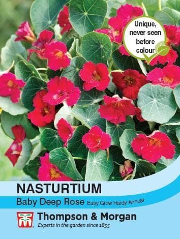 Thompson & Morgan Nasturtium Baby Deep Rose 25 seed