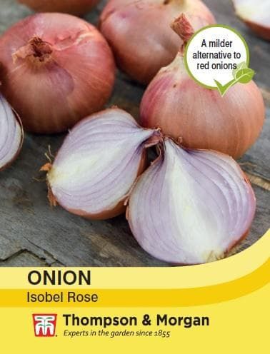 Thompson & Morgan Onion Isobel Rose 300 seed