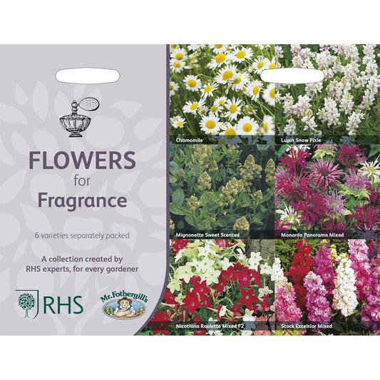 Mr Fothergills RHS Flowers For Fragrance Collection - Seeds