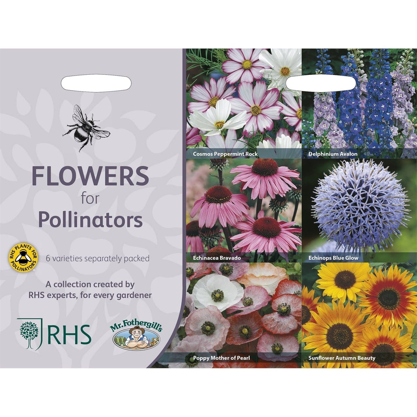 Mr Fothergills RHS Flowers For Pollinators Collection - Seeds