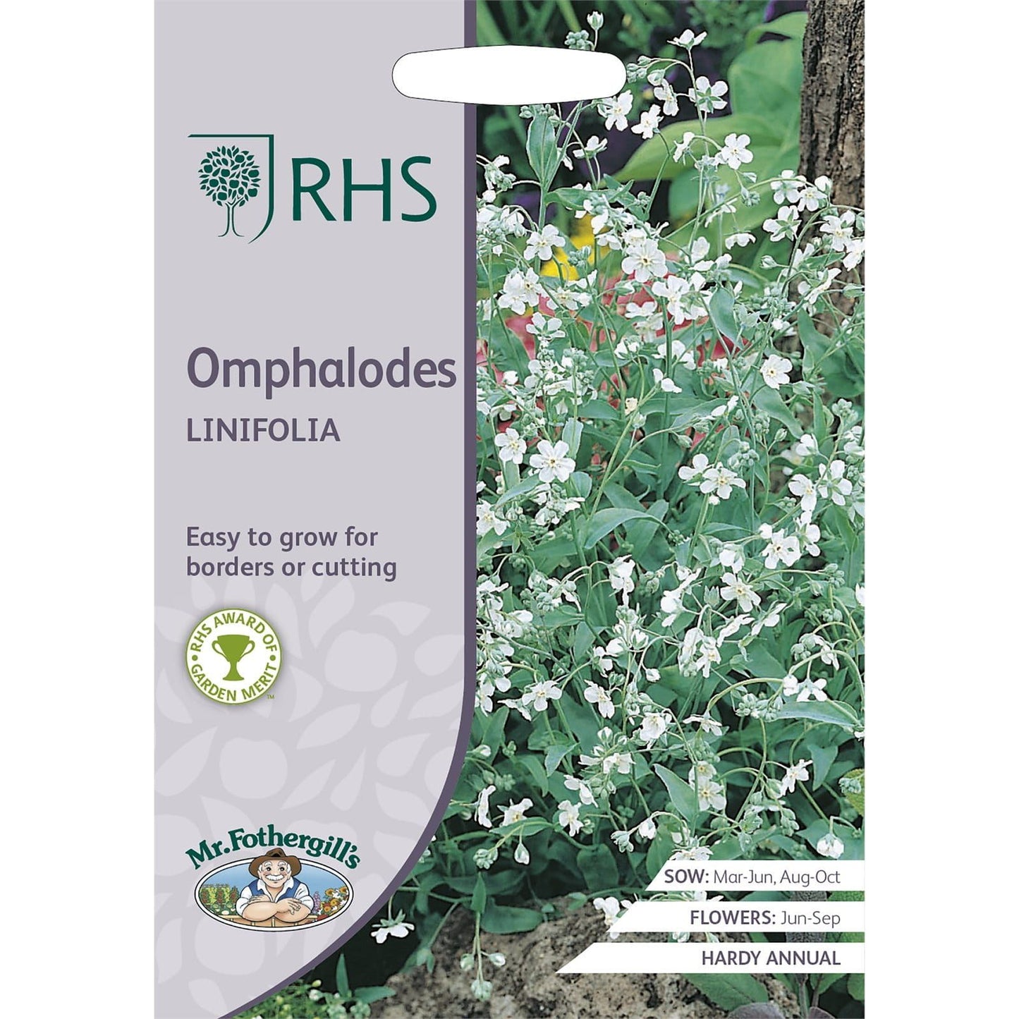 Mr Fothergills RHS Omphalodes Linifolia 100 Seeds