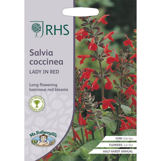 Mr Fothergills RHS Salvia Coccinea Lady In Red 75 Seeds