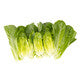 Lettuce Baby Cos Rabello RZ - LS11182 Seeds