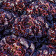Lettuce Red Oakleaf Romai RZ - LS10936 Seeds