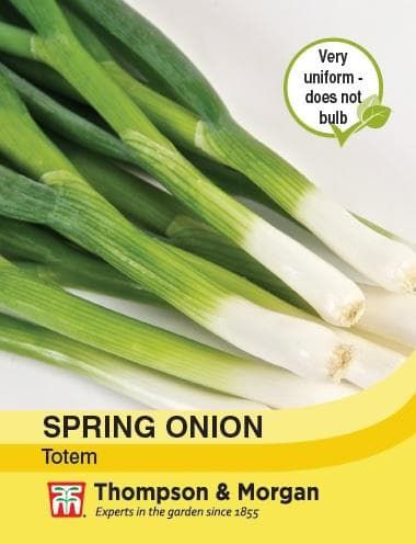 Thompson & Morgan Spring Onion Totem 400 seed