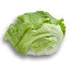 Lettuce Iceberg SUMARNAS RZ - LS10652 Seeds