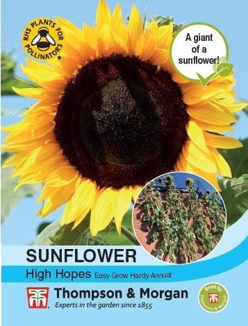 Thompson & Morgan Sunflower High Hopes 15 seed