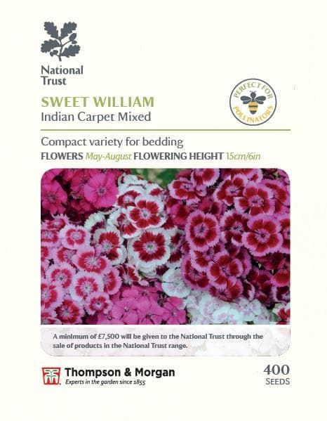 Thompson & Morgan National Trust Range Sweet William Indian Carpet Mixed 400 seed