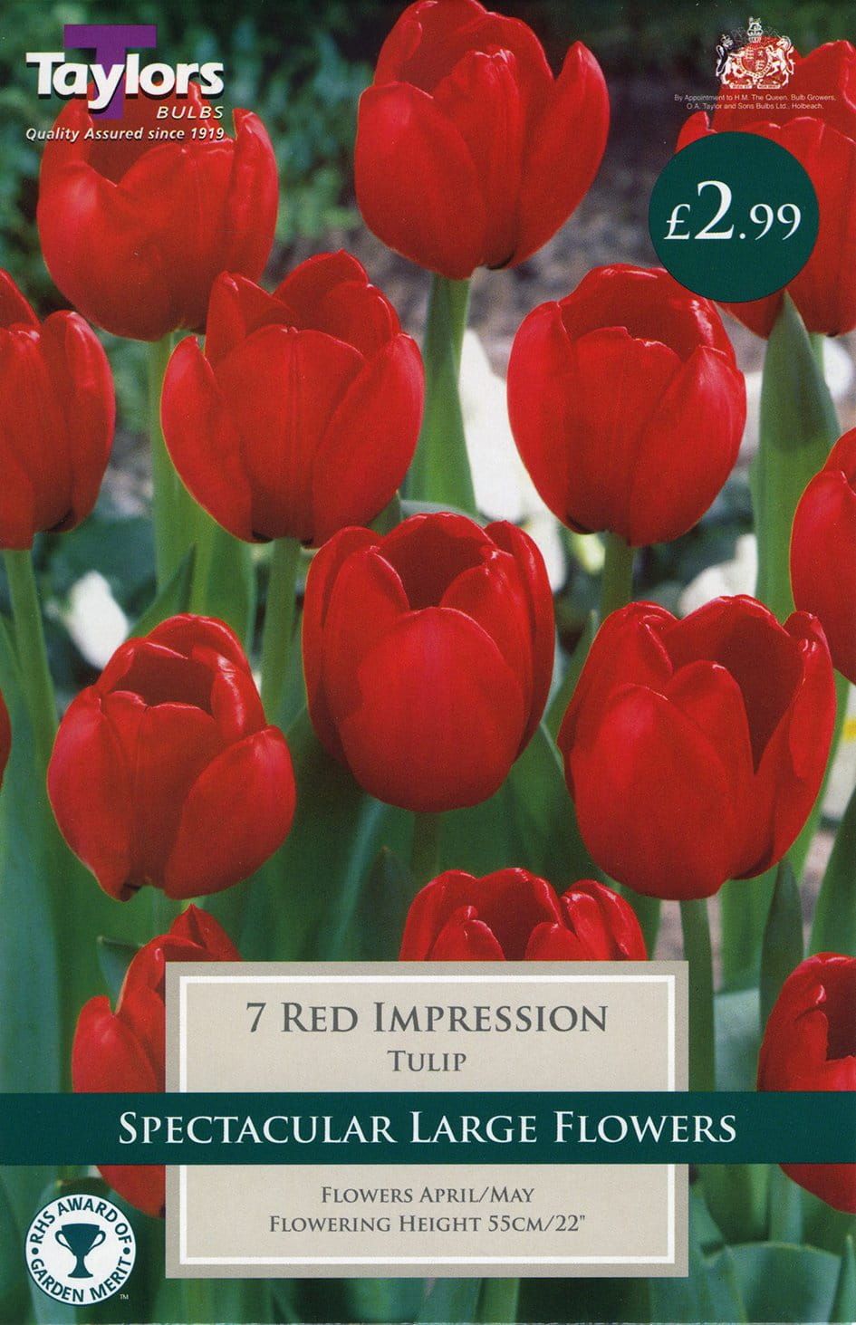 Taylors - Tulip Red Impression 11/12cm - 7 Bulbs