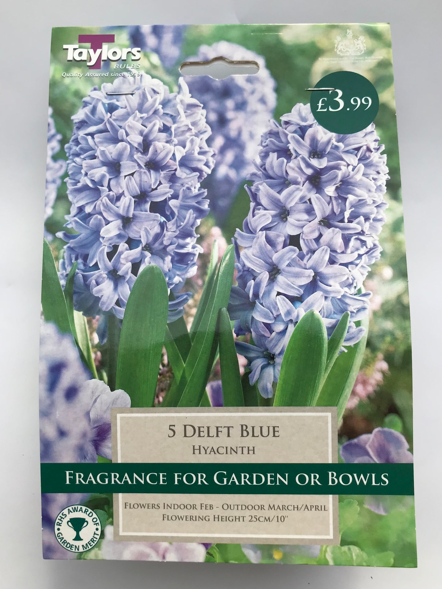 Taylors - Hyacinth Delft Blue - 5 Bulbs