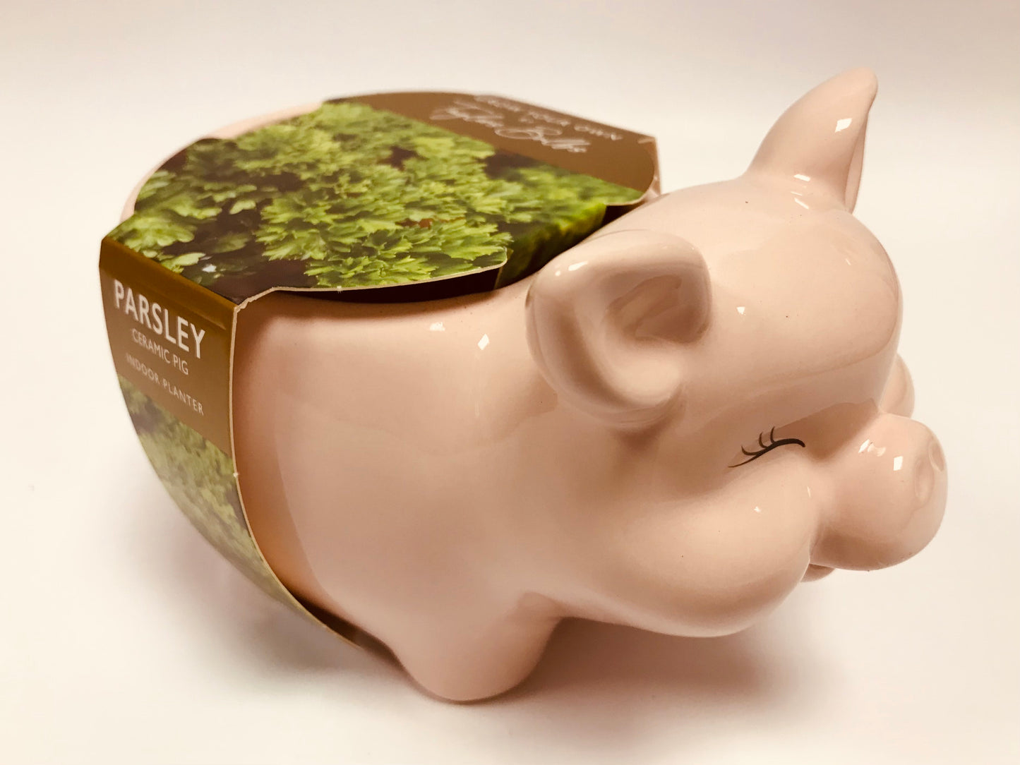 Taylors - Gift - Novelty Pig Planter - Ceramic Parsley Planter