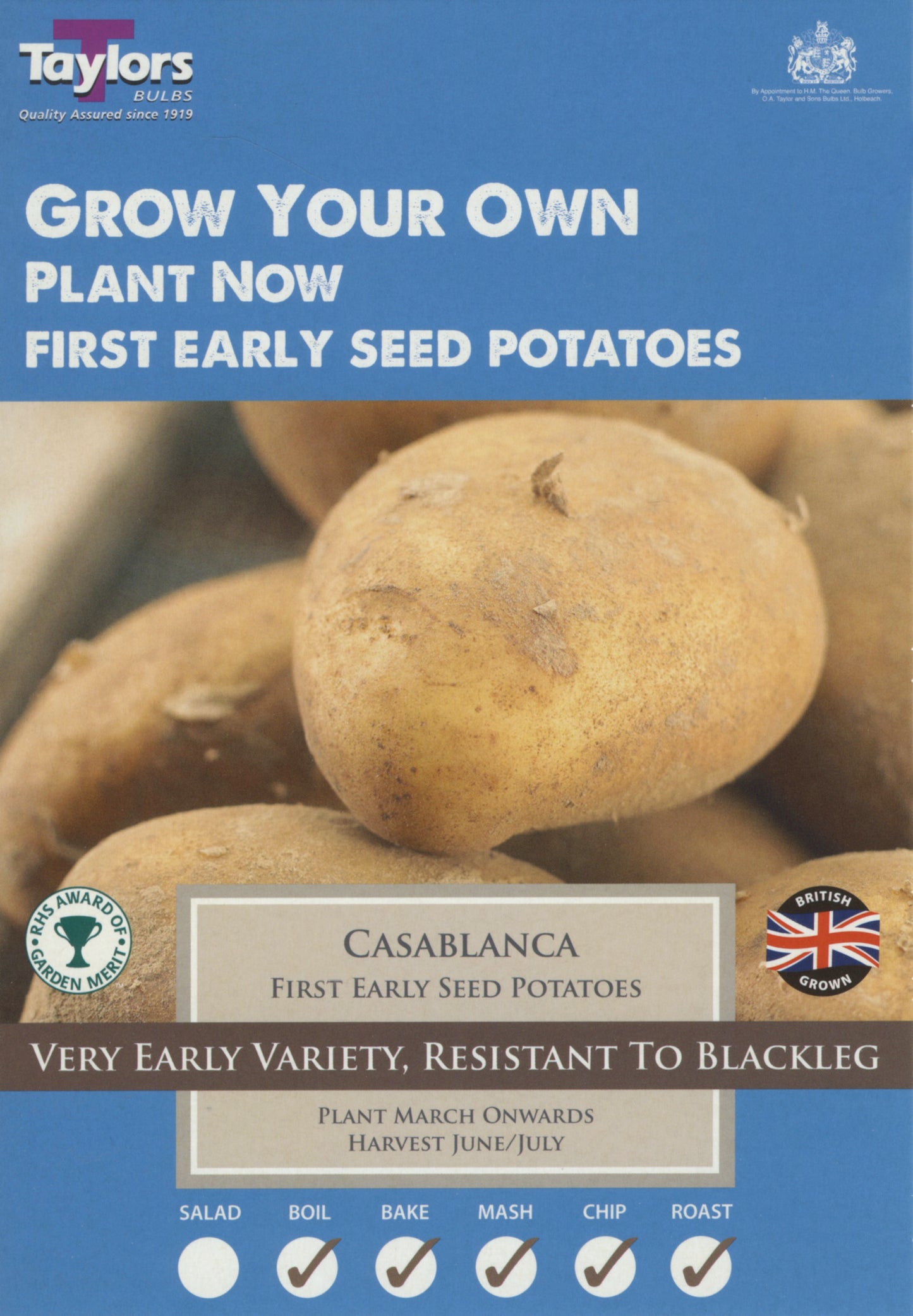 Taylors Seed Potatoes Casablanca 10 Tubers First Early