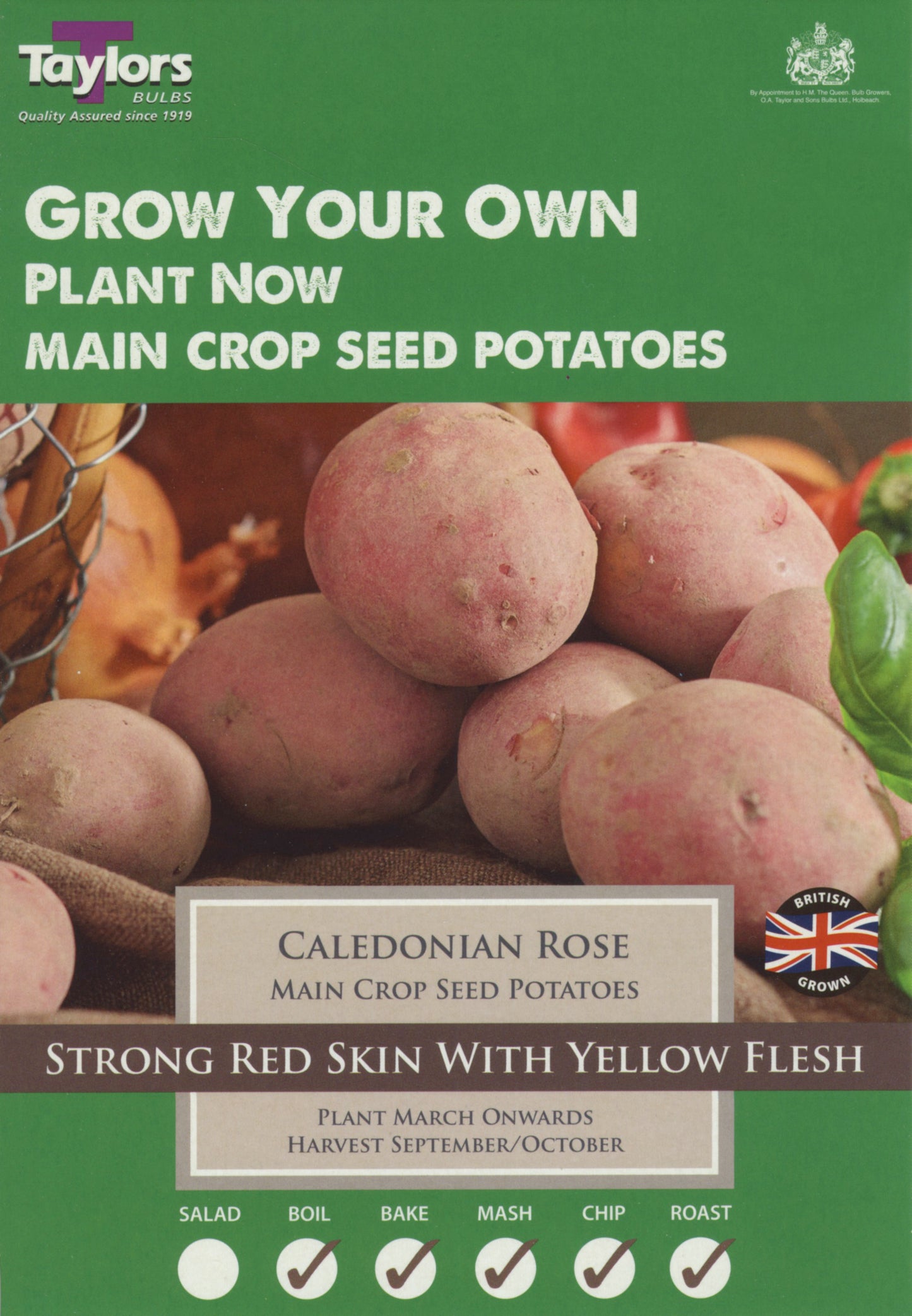 Taylors - Seed Potatoes - Caledonian Rose - 10 Tubers - Main Crop