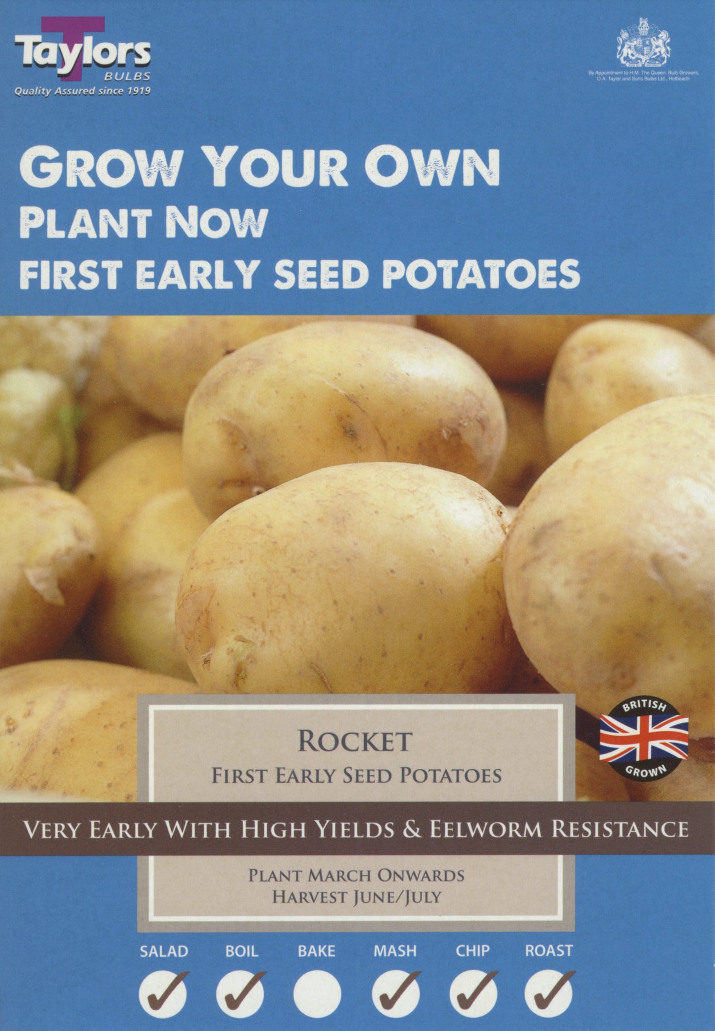 Taylors Seed Potatoes Rocket 10 Tubers First Early