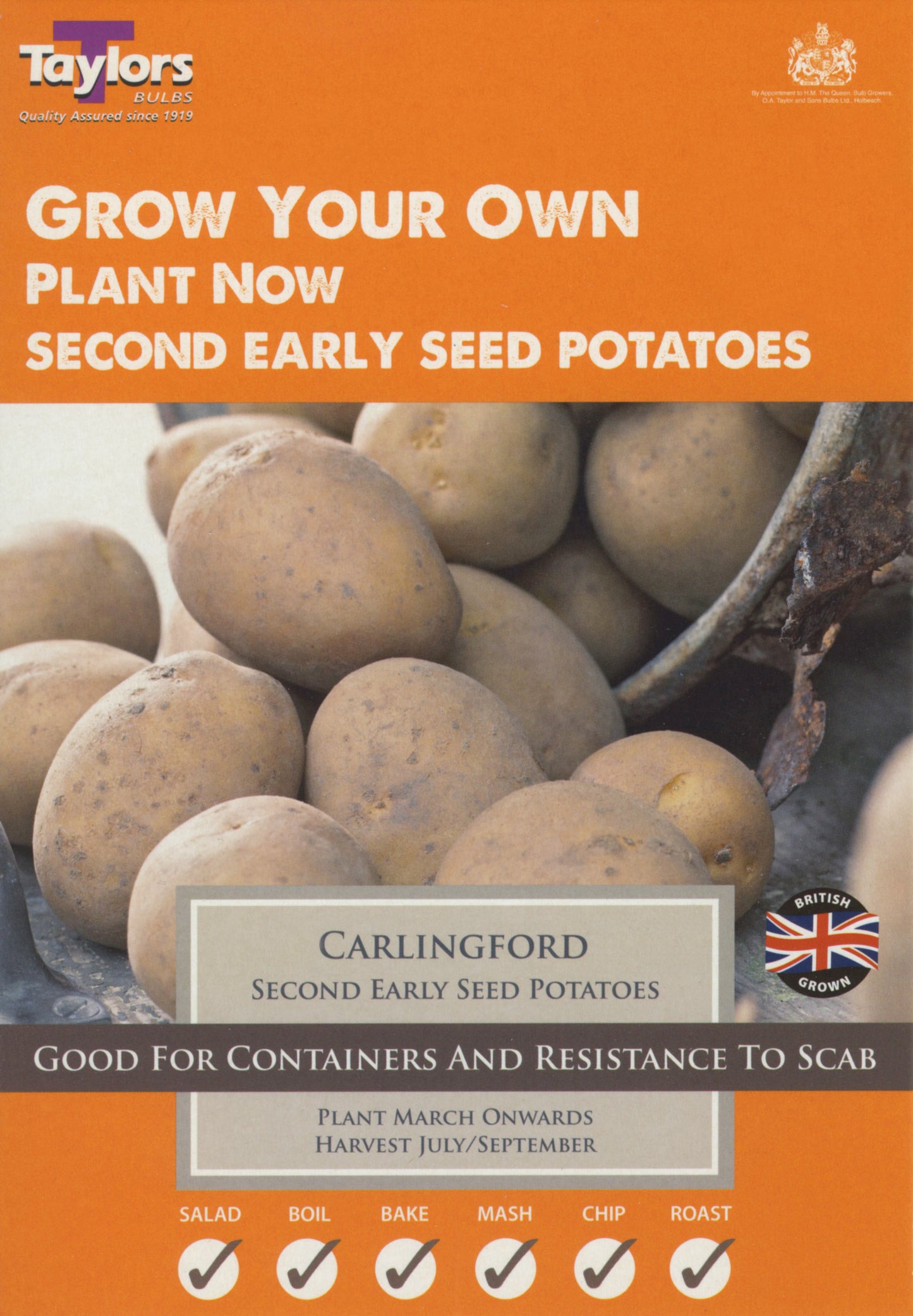 Taylors Seed Potatoes Carlingford 10 Tubers Second Earlies