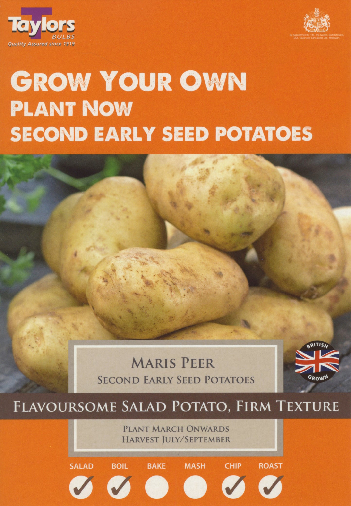 Seed Potatoes Maris Peer 10 Tubers Second Earlies
