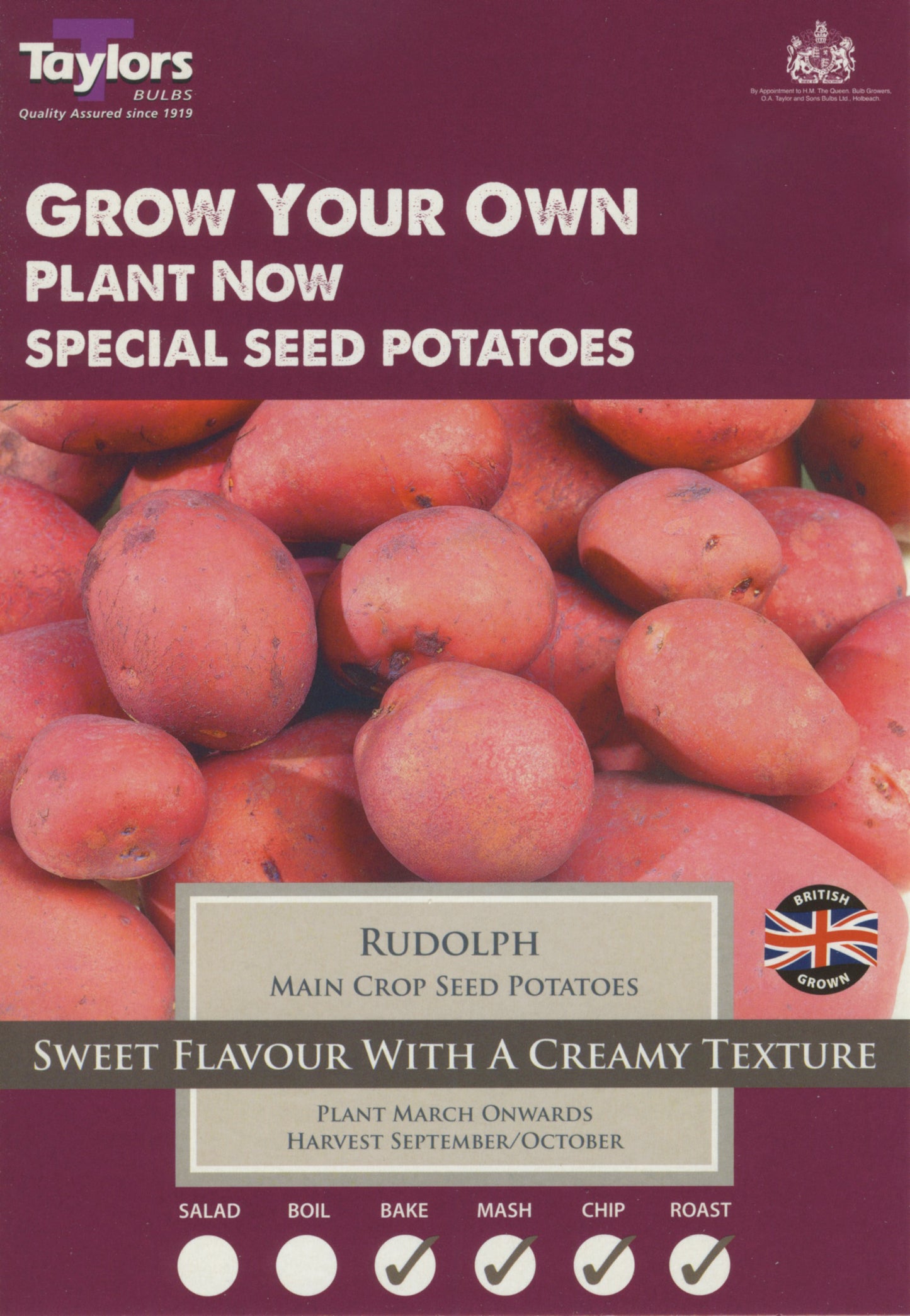 Taylors - Seed Potatoes - Rudolph - 10 Tubers - Main Crop