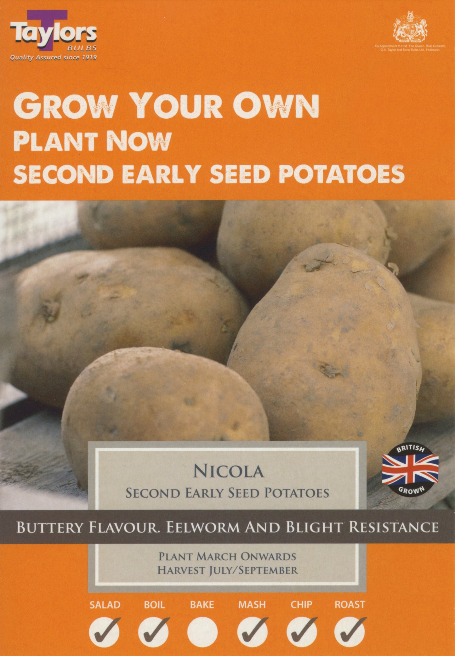 Taylors Seed Potatoes Nicola 10 Tubers Second Early