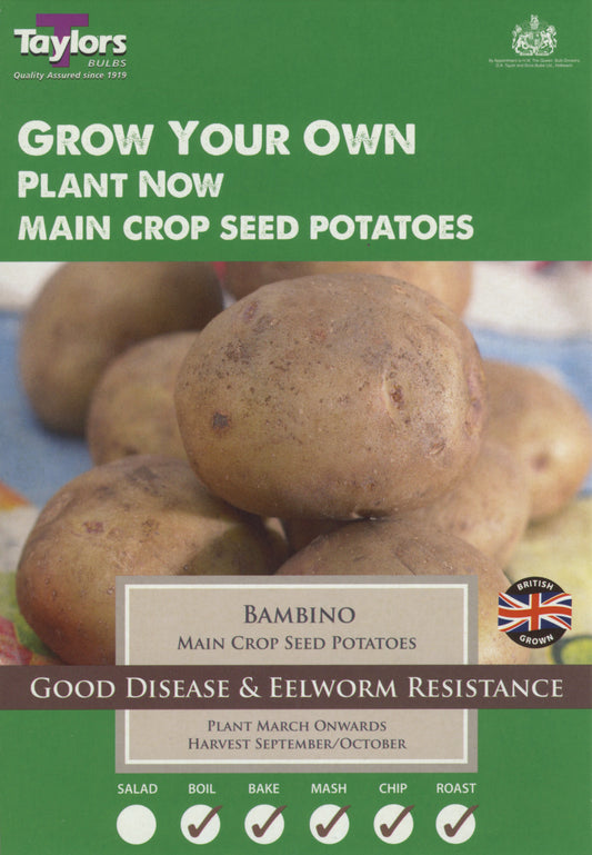 Taylors Seed Potatoes Bambino 10 Tubers Main Crop