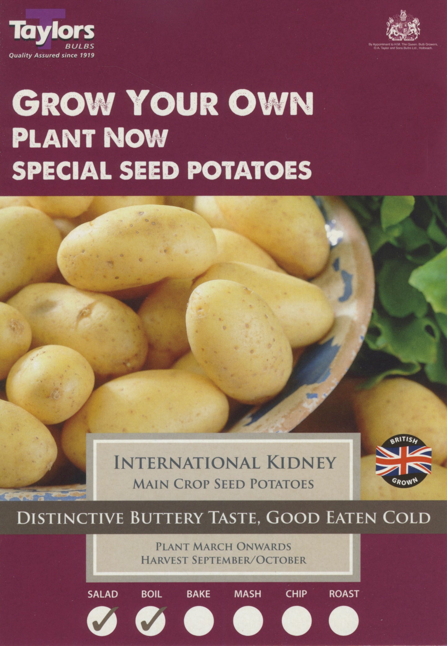 Taylors Seed Potatoes International Kidney 10 Tubers