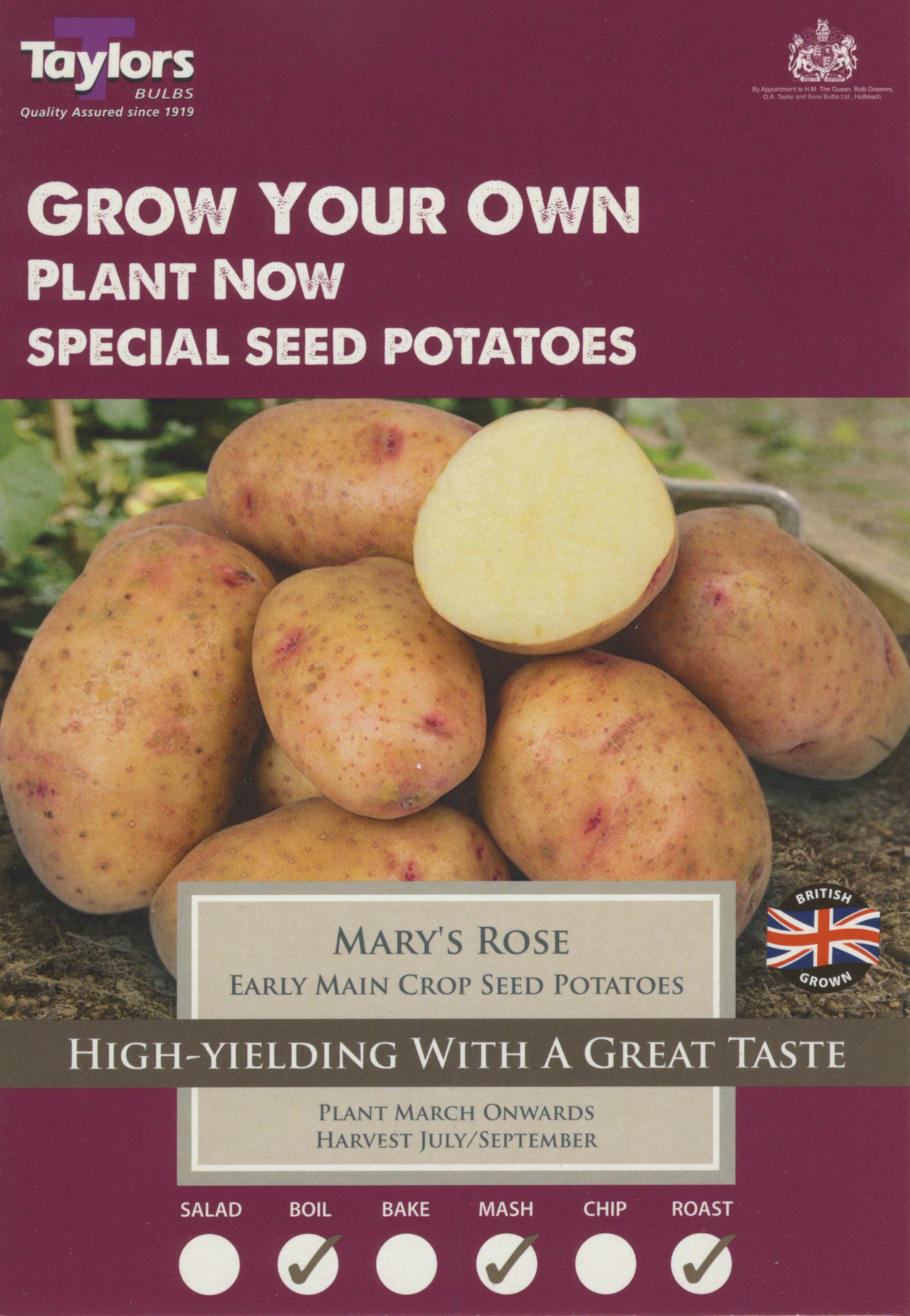 Taylors - Seed Potatoes - Mary's Rose - 10 Tubers - Main Crop