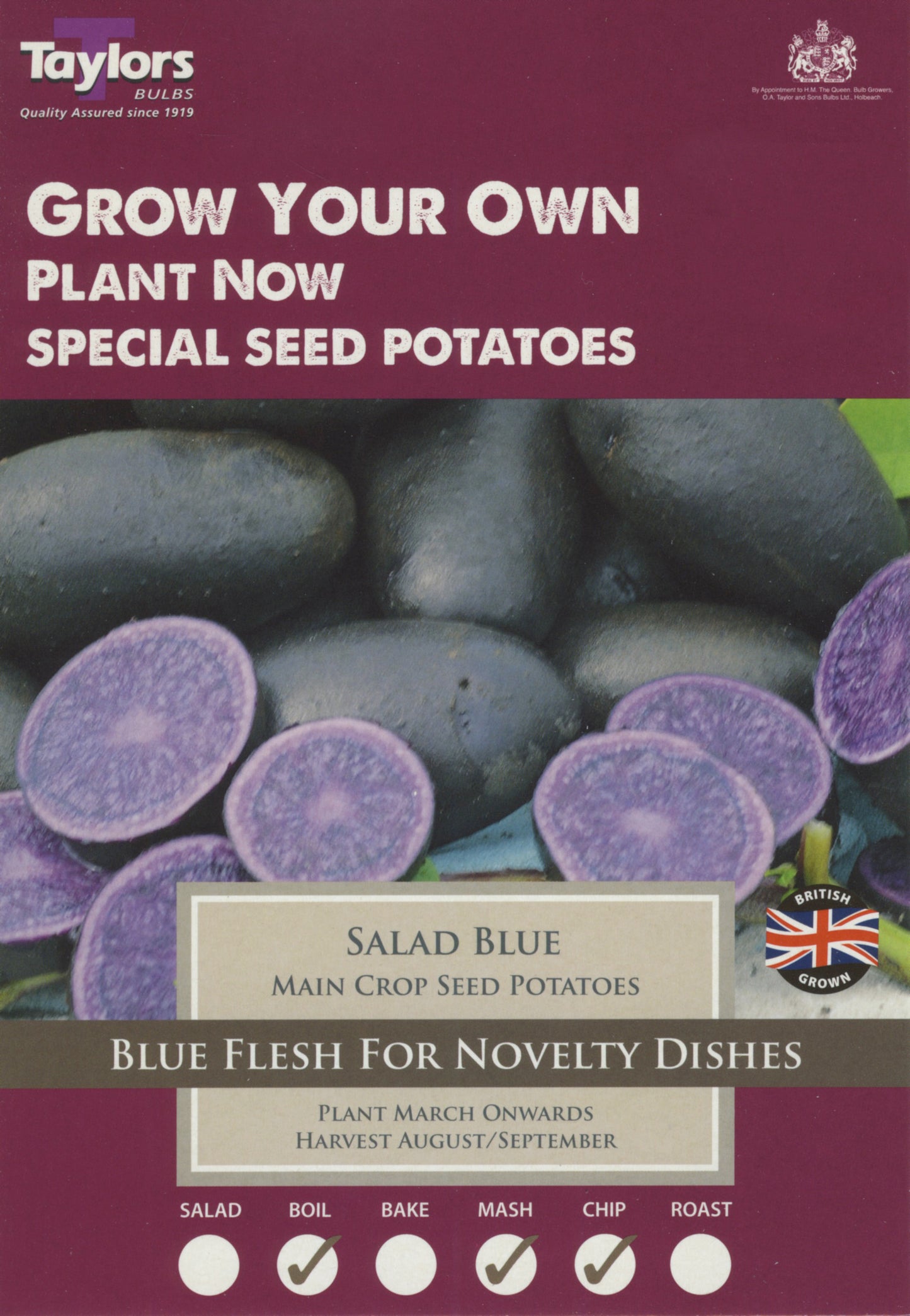Taylors Seed Potatoes Salad Blue 10 Tubers Main Crop