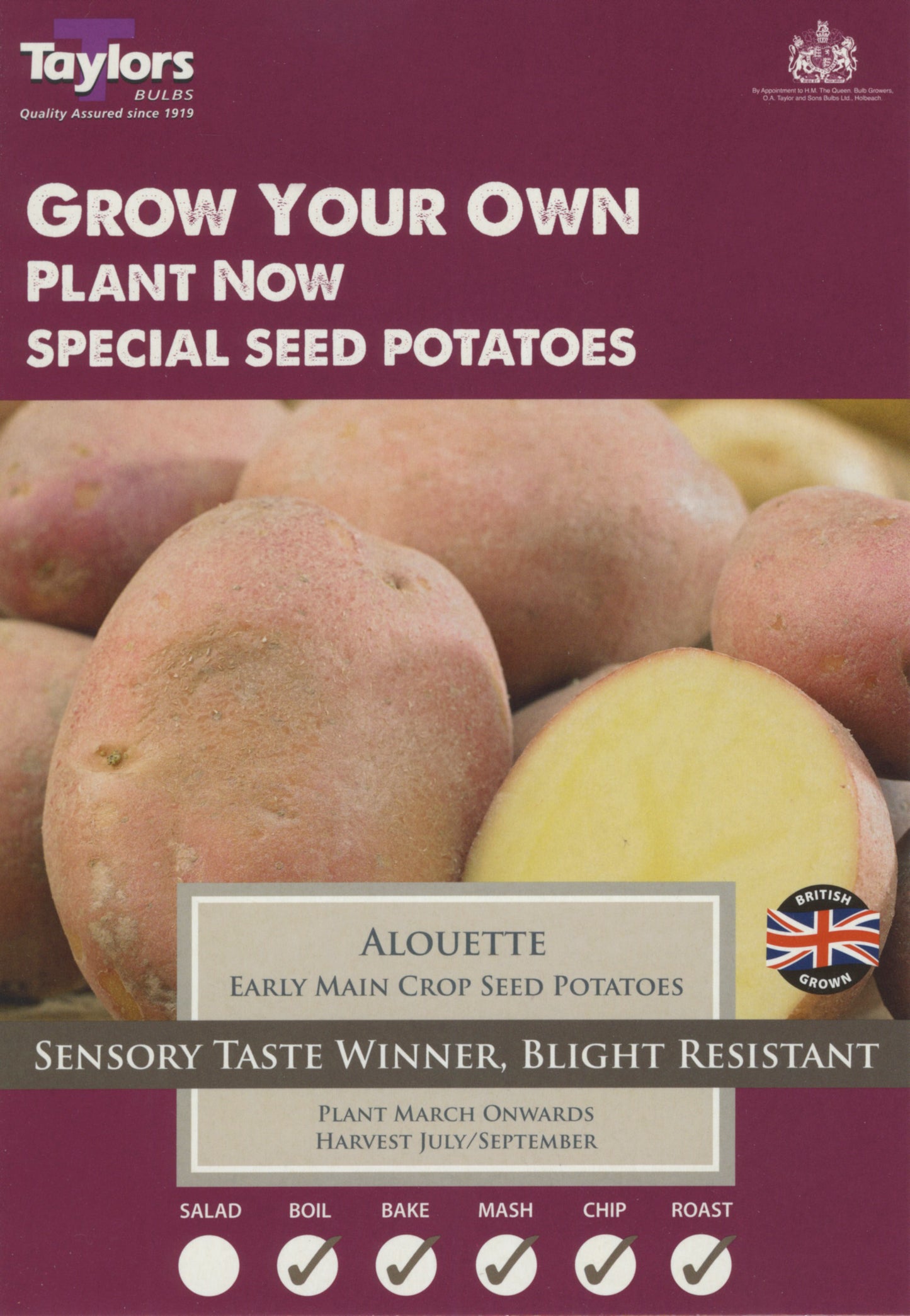 Taylors - Seed Potatoes - Alouette - 10 Tubers - Second Early