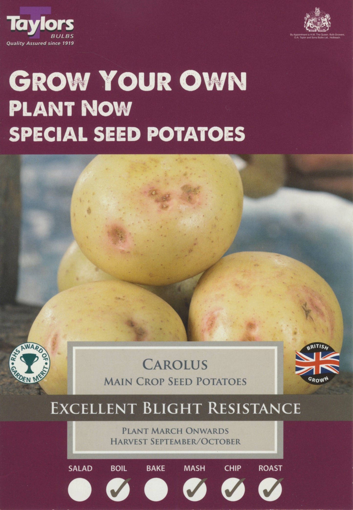 Taylors - Seed Potatoes - Carolus - 10 Tubers - Main Crop