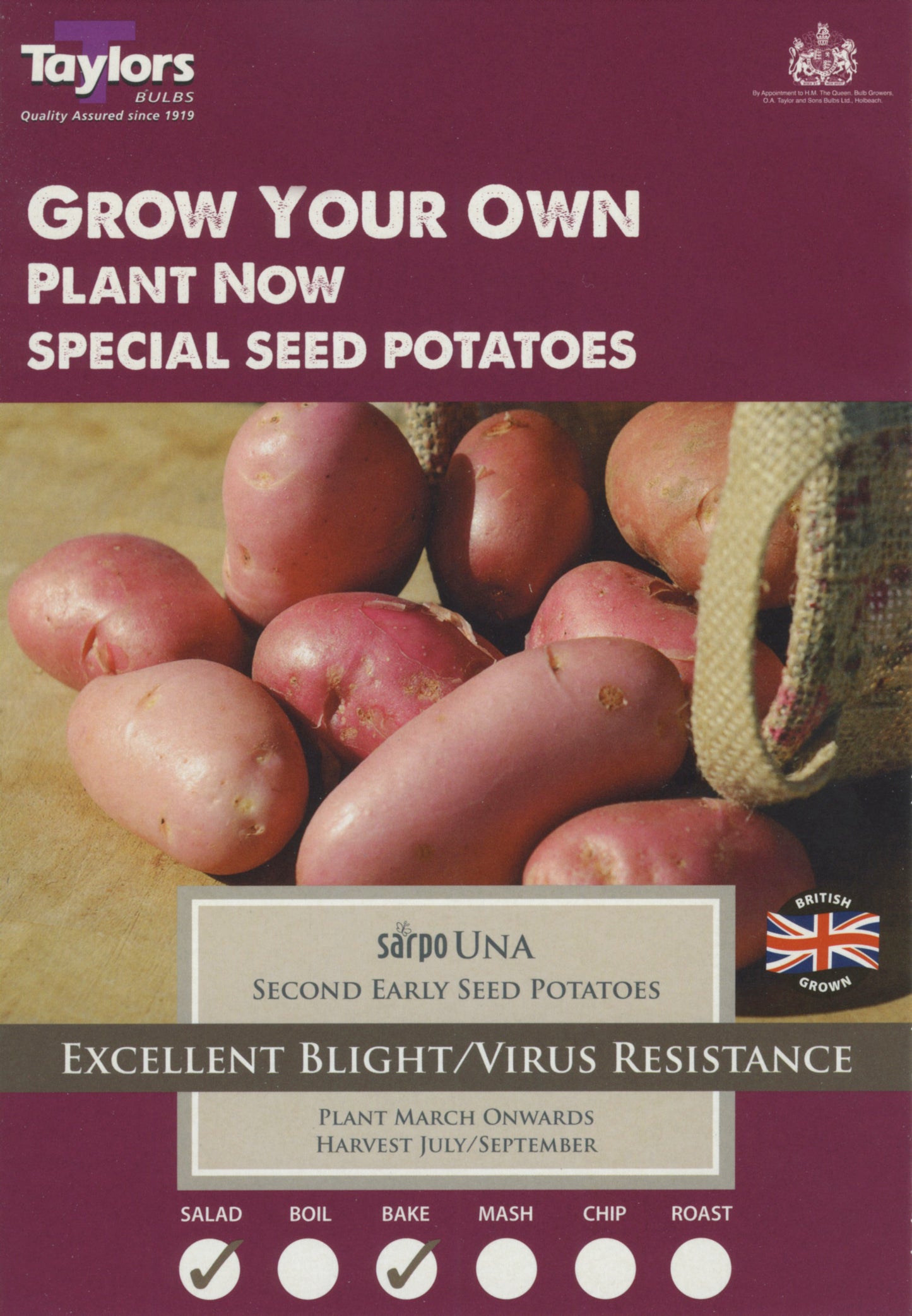 Taylors - Seed Potatoes - Sarpo Una - 8 Tubers - Second Early