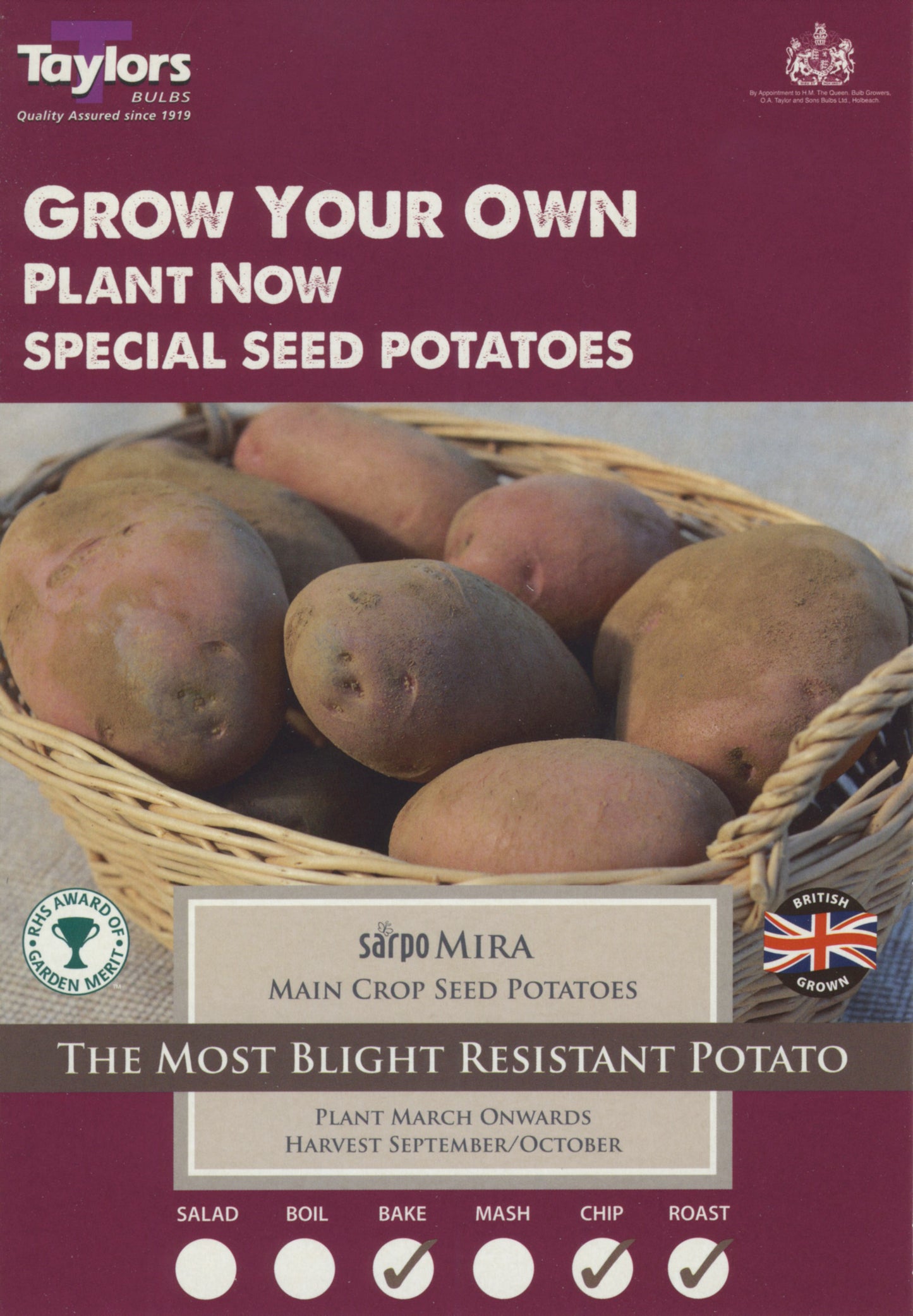 Taylors Seed Potatoes Sarpo Mira 8 Tubers Blight Resistant