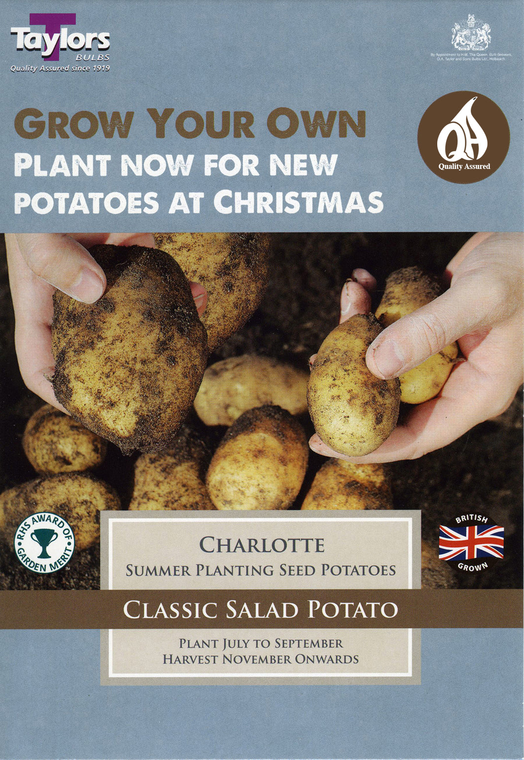 Taylors Seed Potatoes Charlotte 10 Tubers Summer planting