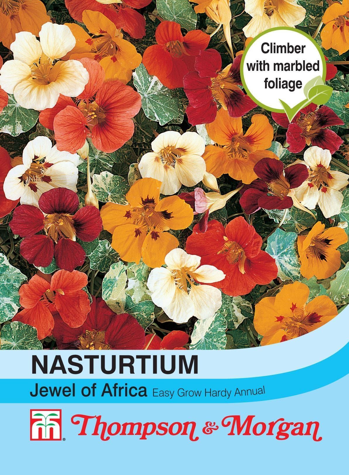Thompson & Morgan Nasturtium Jewel Of Africa 25 Seed