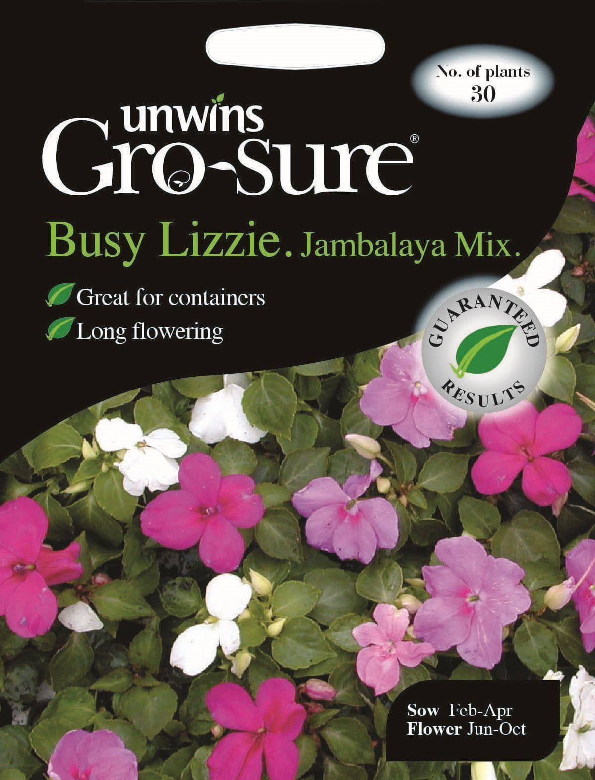 Unwins Busy Lizzie Jambalaya Mix F1 30 Seeds