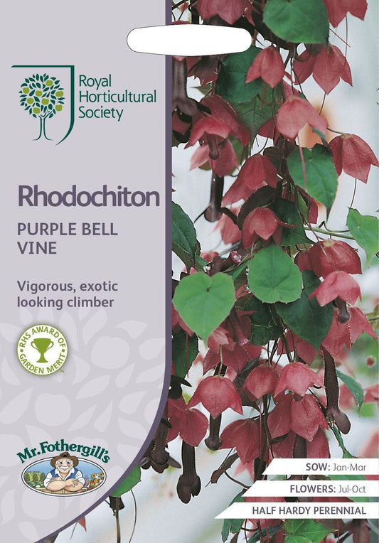 Mr Fothergills RHS Rhodochiton Purple Bell Vine 15 Seeds