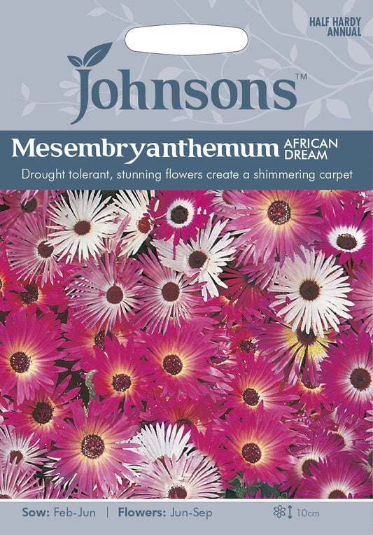 Johnsons Mesembryanthemum African Dream 300 Seeds