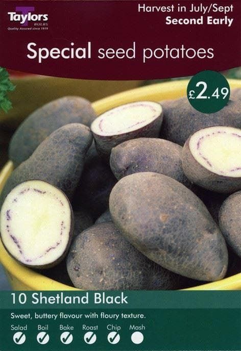 Taylors Seed Potatoes Shetland Black 10 Tubers Second Earlier
