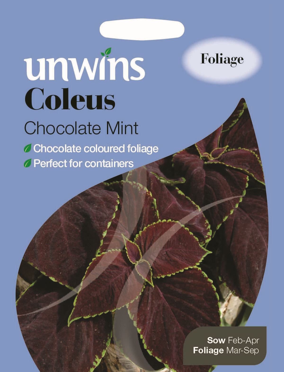Unwins Coleus Chocolate Mint (d) 10 Seeds