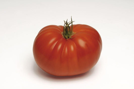 Tomato Supersteak F1 Hybrid Seeds