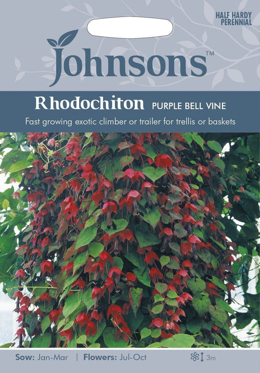 Johnsons Rhodochiton Purple Bell Vine 15 Seeds