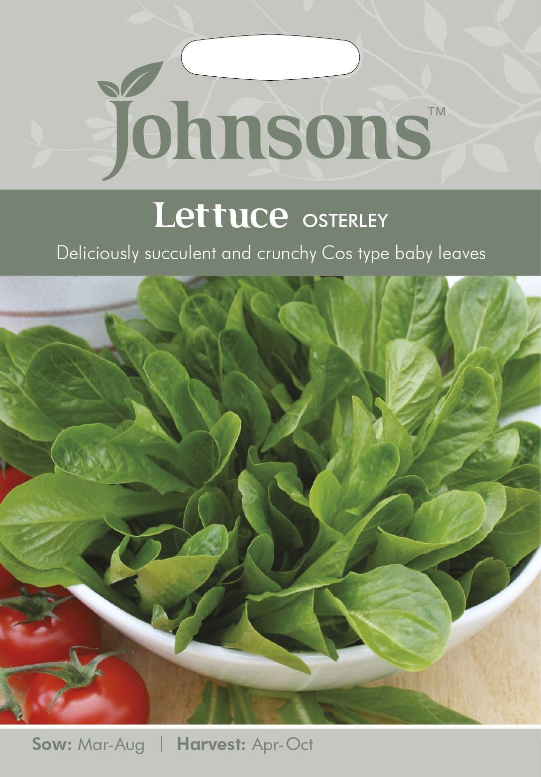 Johnsons Lettuce Osterley 500 Seeds