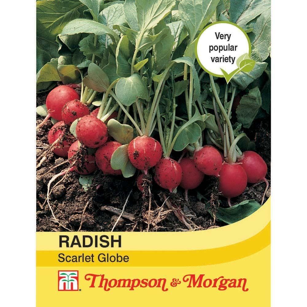 Thompson & Morgan Radish Scarlet Globe 750 Seed