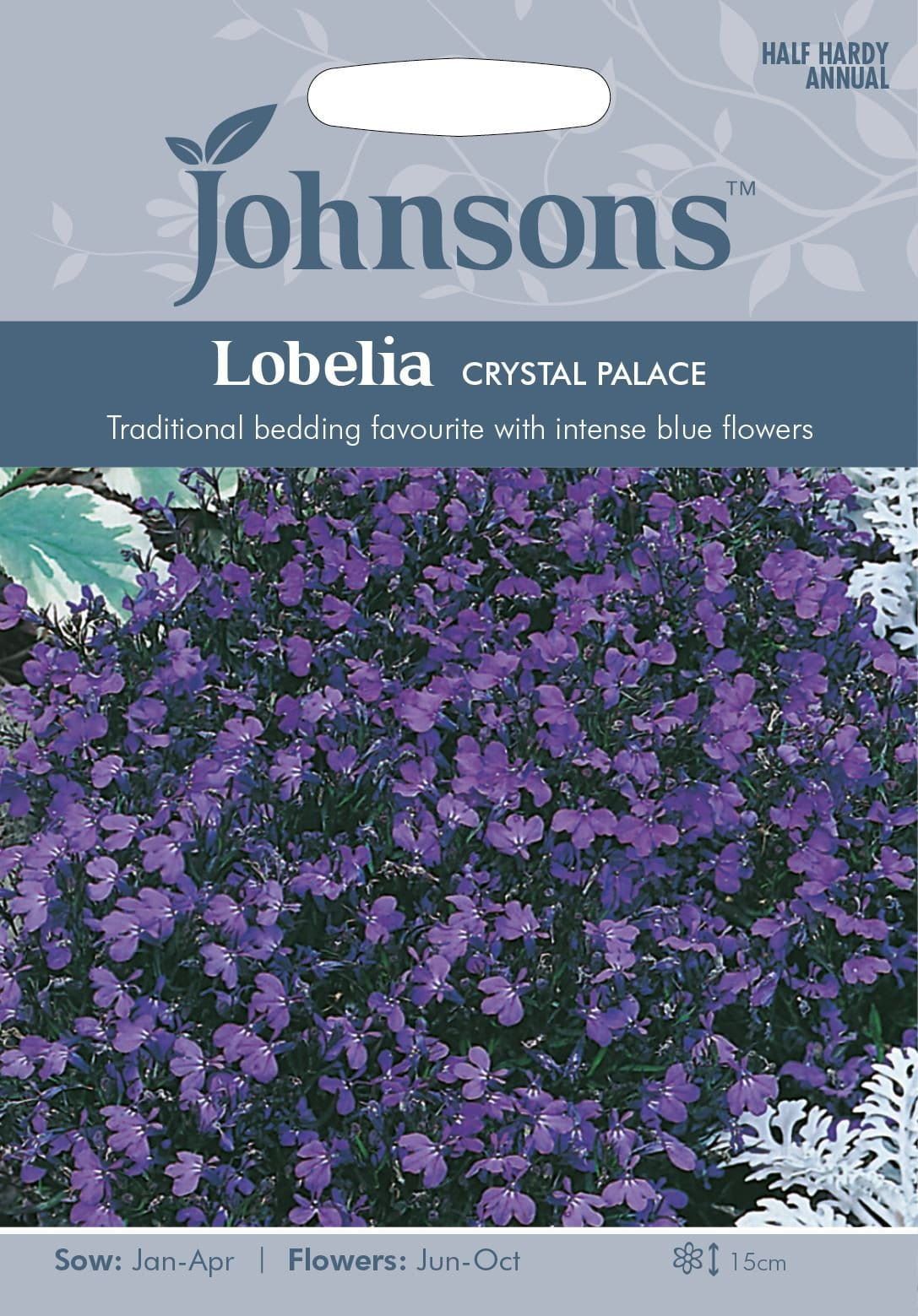 Johnsons Lobelia Crystal Palace 2500 Seeds