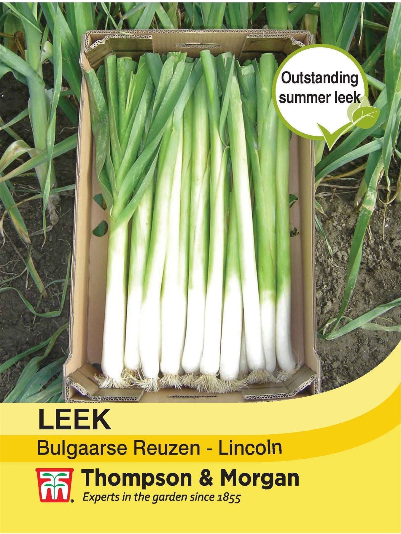Thompson & Morgan - Vegetable - Leek - Bulgaarse Reuzen - Lincoln - 75 Seeds