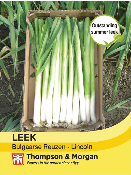 Thompson & Morgan - Vegetable - Leek - Bulgaarse Reuzen - Lincoln - 75 Seeds