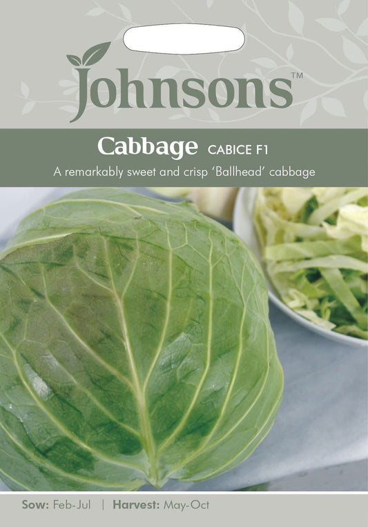 Johnsons Cabbage Cabice F1 30 Seeds