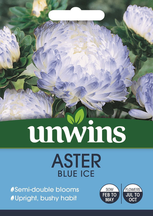Unwins Aster Blue Ice 200 Seeds